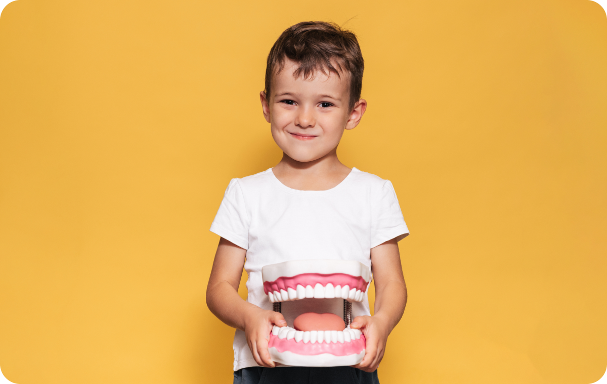 orthodontie enfants biarritz disjoncteur orthodontie enfants biarritz disjoncteur Mon enfant place mal sa langue Dr Loustau-Dessus